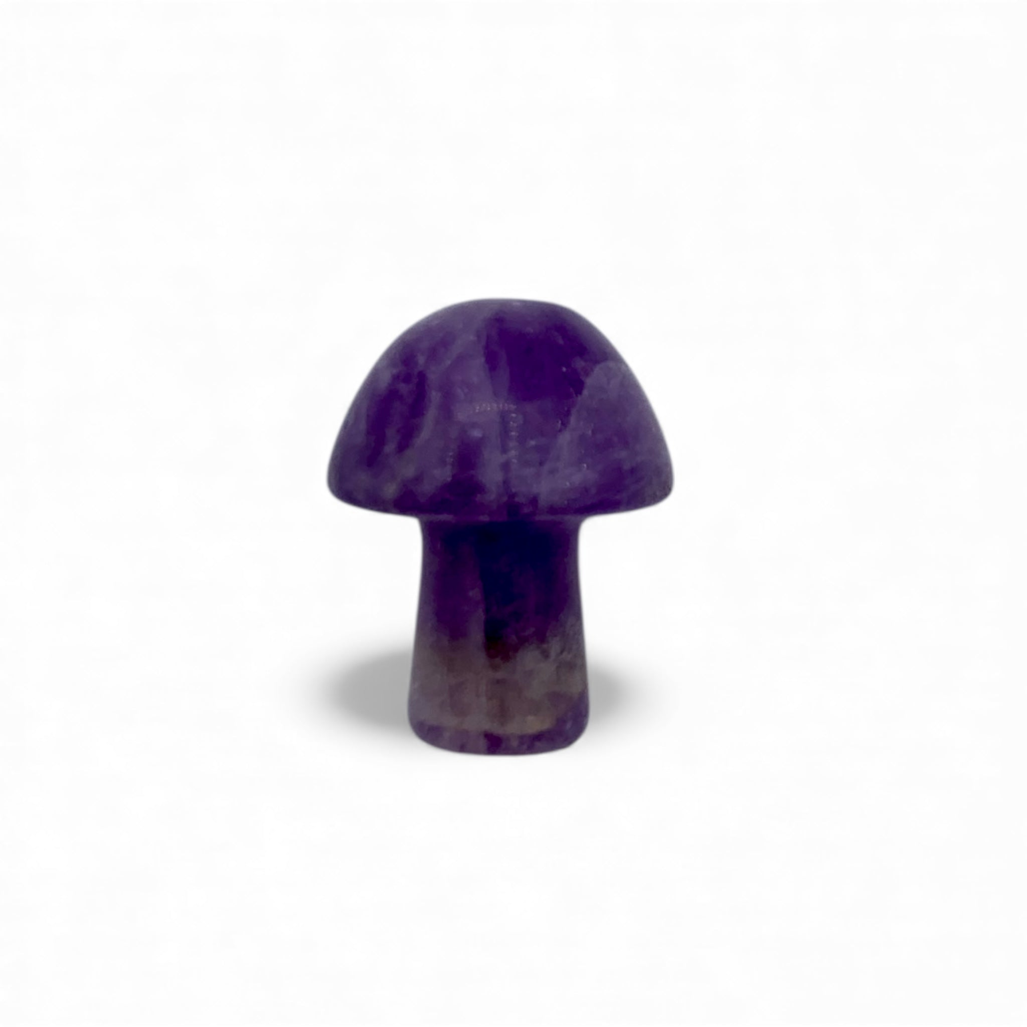Amethyst Mushroom $8
